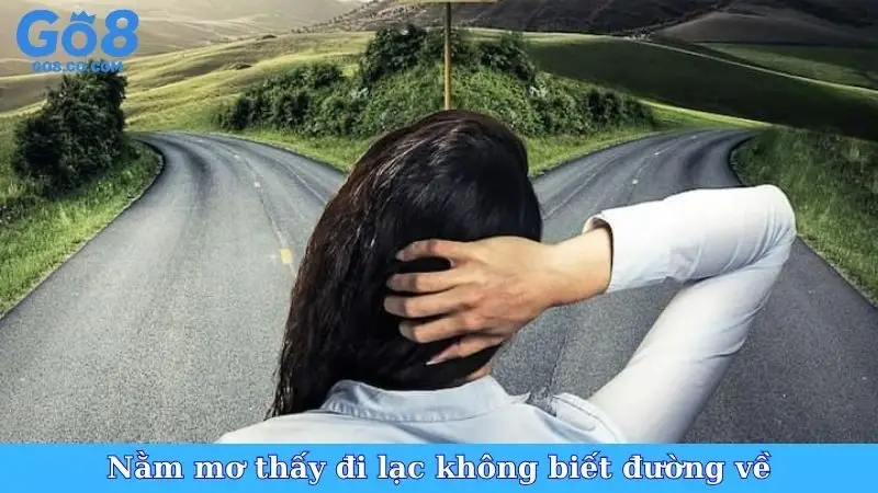 Nằm Mơ Thấy Đi Lạc Không Biết Đường Về